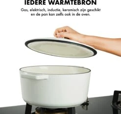 MOA Gietijzeren Braadpan - Inhoud 7,2 Liter - 30CM - Rond - Alle Warmtebronnen - Ook Voor Inductie - Gewicht 7,3 Kg - Wit - C30W -Pot Bevordering 1200x1131 2