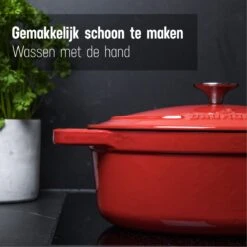 Daumonet Bocuse Rouge Gietijzeren Braadpan - Sudderpan Kersen Rood - Ovaal - Ø 29 Cm - 3 Liter - PFAS & PFOA Vrij - Emaille - Geschikt Voor Alle Warmtebronnen - Elektrisch - Gas - Halogeen - Inductie - Keramisch - Vaatwasserbestendig -Pot Bevordering 1200x1200 1016