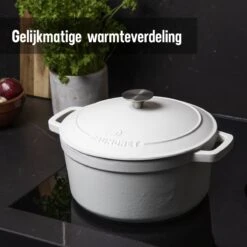 Daumonet Carême Blanc Gietijzeren Braadpan - Sudderpan Wit - Rond - Ø 26 Cm - 4,4 Liter - 100% PFAS & PFOA Vrij - Emaille - Geschikt Voor Alle Warmtebronnen - Elektrisch - Gas - Halogeen - Inductie - Keramisch - Vaatwasserbestendig -Pot Bevordering 1200x1200 1103