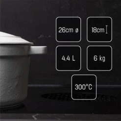 Daumonet Carême Blanc Gietijzeren Braadpan - Sudderpan Wit - Rond - Ø 26 Cm - 4,4 Liter - 100% PFAS & PFOA Vrij - Emaille - Geschikt Voor Alle Warmtebronnen - Elektrisch - Gas - Halogeen - Inductie - Keramisch - Vaatwasserbestendig -Pot Bevordering 1200x1200 1104