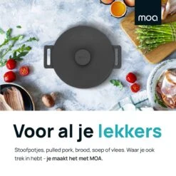 MOA Gietijzeren Braadpan - Inhoud 7,1 Liter - 29CM - Rond - Alle Warmtebronnen - Ook Voor Inductie - Gewicht 7,6 Kg - Zwart - MC29B 13 MOA Gietijzeren Braadpan - Inhoud 7,1 Liter - 29CM - Rond - Alle Warmtebronnen - Ook Voor Inductie - Gewicht 7,6 Kg - Zwart - MC29B -Pot Bevordering 1200x1200 1108