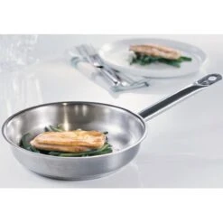 Fissler Catania Koekenpan - Ø 24 Cm -Pot Bevordering 1200x1200 444