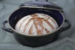 BK Fortalit Braadpan Ø 22 Cm / 2L - Emaille - Inductie 18 BK Fortalit Braadpan Ø 22 Cm / 2L - Emaille - Inductie -Pot Bevordering 1200x800 195