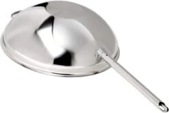 Demeyere Apollo 7 - Wok - 30 Cm - Met Glazen Deksel 12 Demeyere Apollo 7 - Wok - 30 Cm - Met Glazen Deksel -Pot Bevordering 1200x802 2