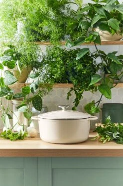 Tefal LOV Braadpan - 5L - Ø25 Cm - Beige 26 Tefal LOV Braadpan - 5L - Ø25 Cm - Beige -Pot Bevordering 800x1200 22