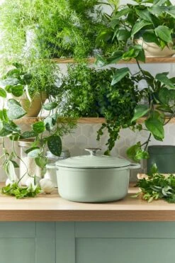 Tefal LOV Braadpan - 5L - Ø25 Cm - Groen 25 Tefal LOV Braadpan - 5L - Ø25 Cm - Groen -Pot Bevordering 800x1200 24